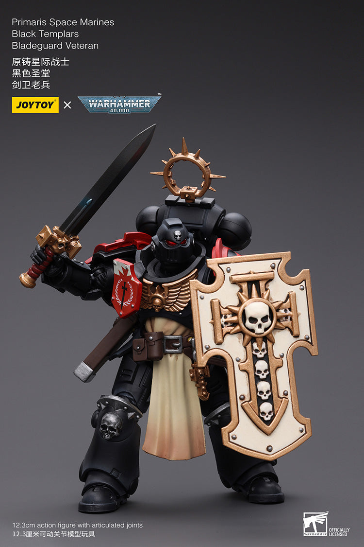 Primaris Space Marines Bladeguard Veteran