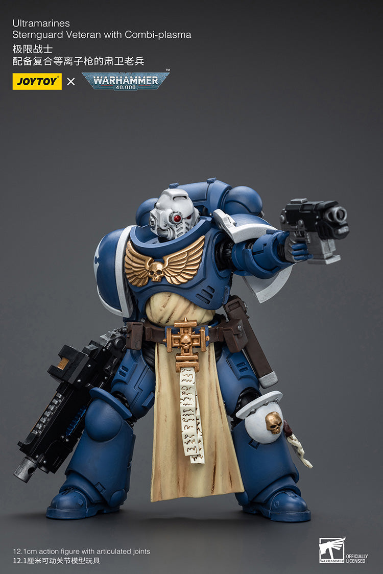 Ultramarines Sternguard Veteran