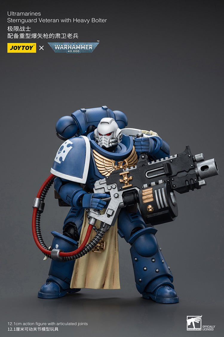 Ultramarines Sternguard Veteran