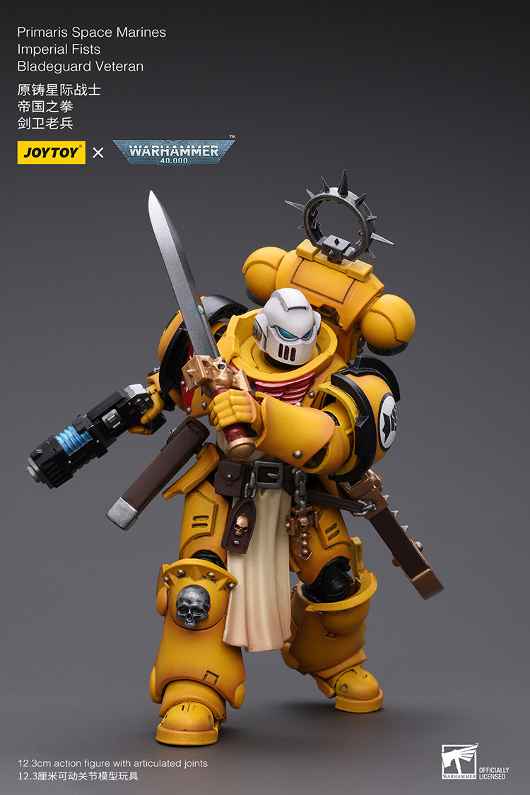 Primaris Space Marines Bladeguard Veteran
