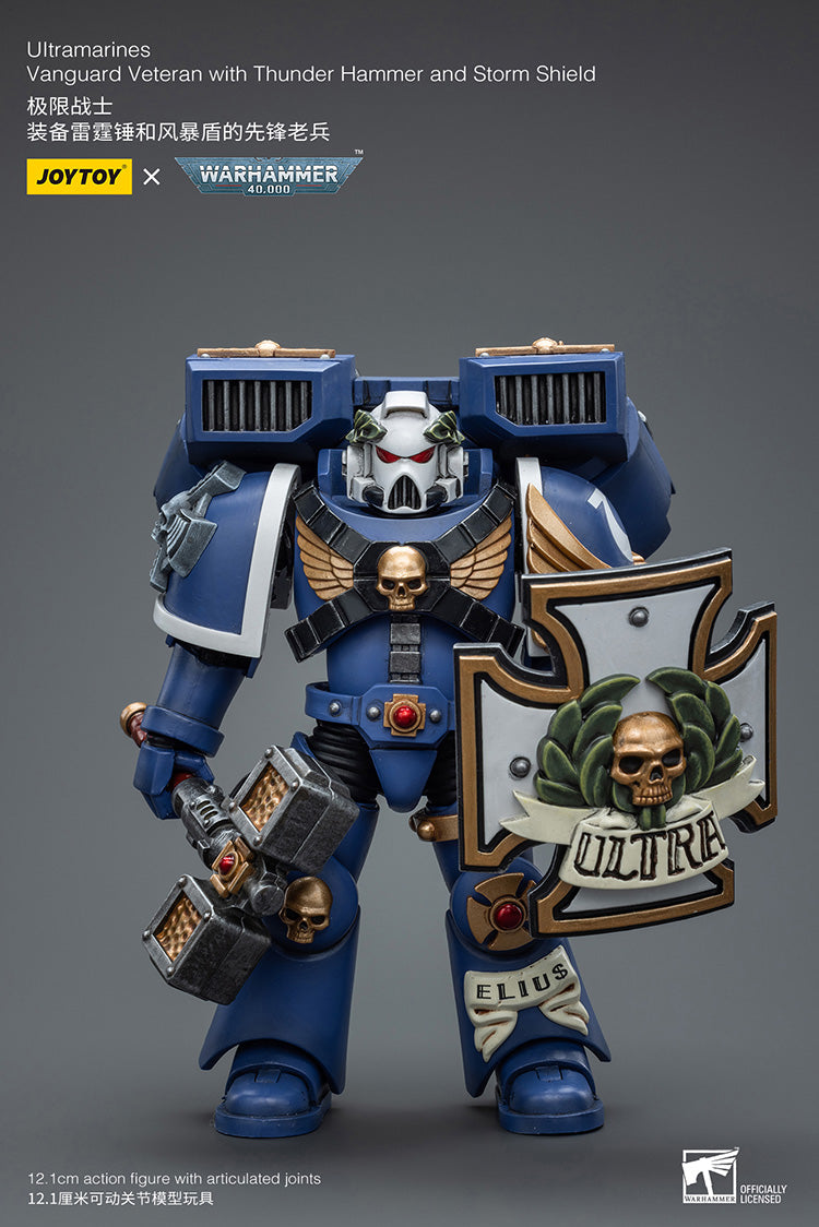 Ultramarines Vanguard Veteran with Thunder Hammer and Storm Shield
