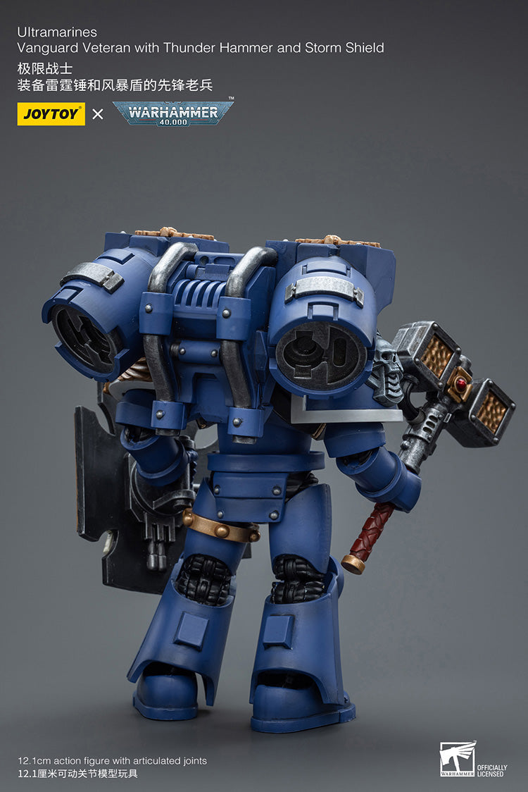 Ultramarines Vanguard Veteran with Thunder Hammer and Storm Shield