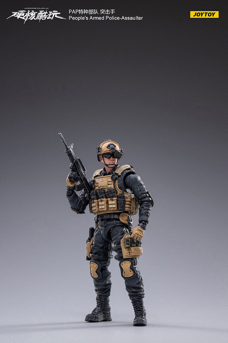 PAP-Assaulter