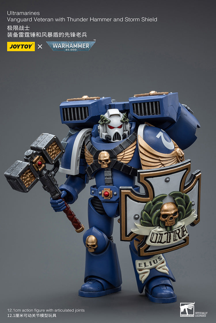 Ultramarines Vanguard Veteran with Thunder Hammer and Storm Shield
