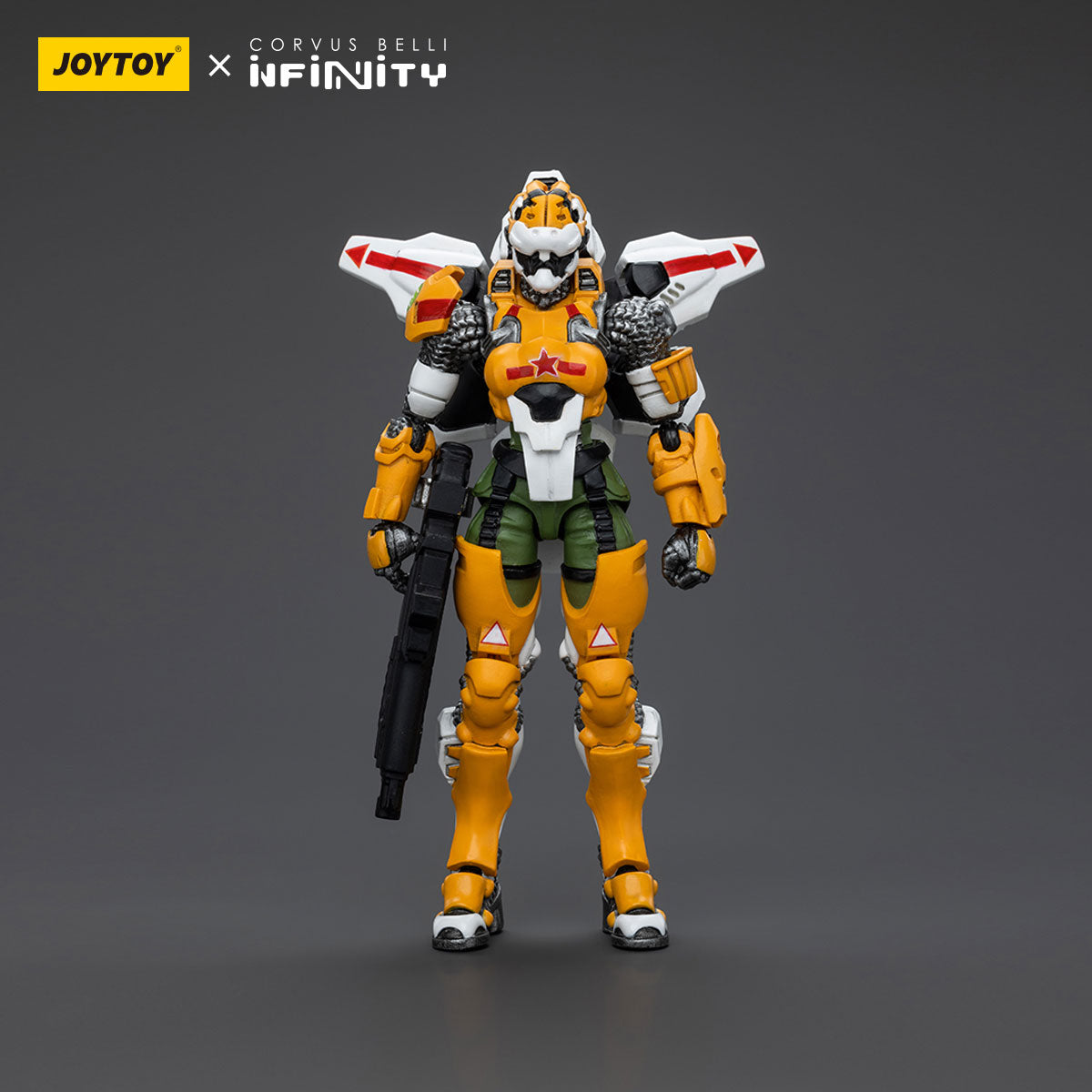 Yu Jing Special Action Team Tiger Soldier Team