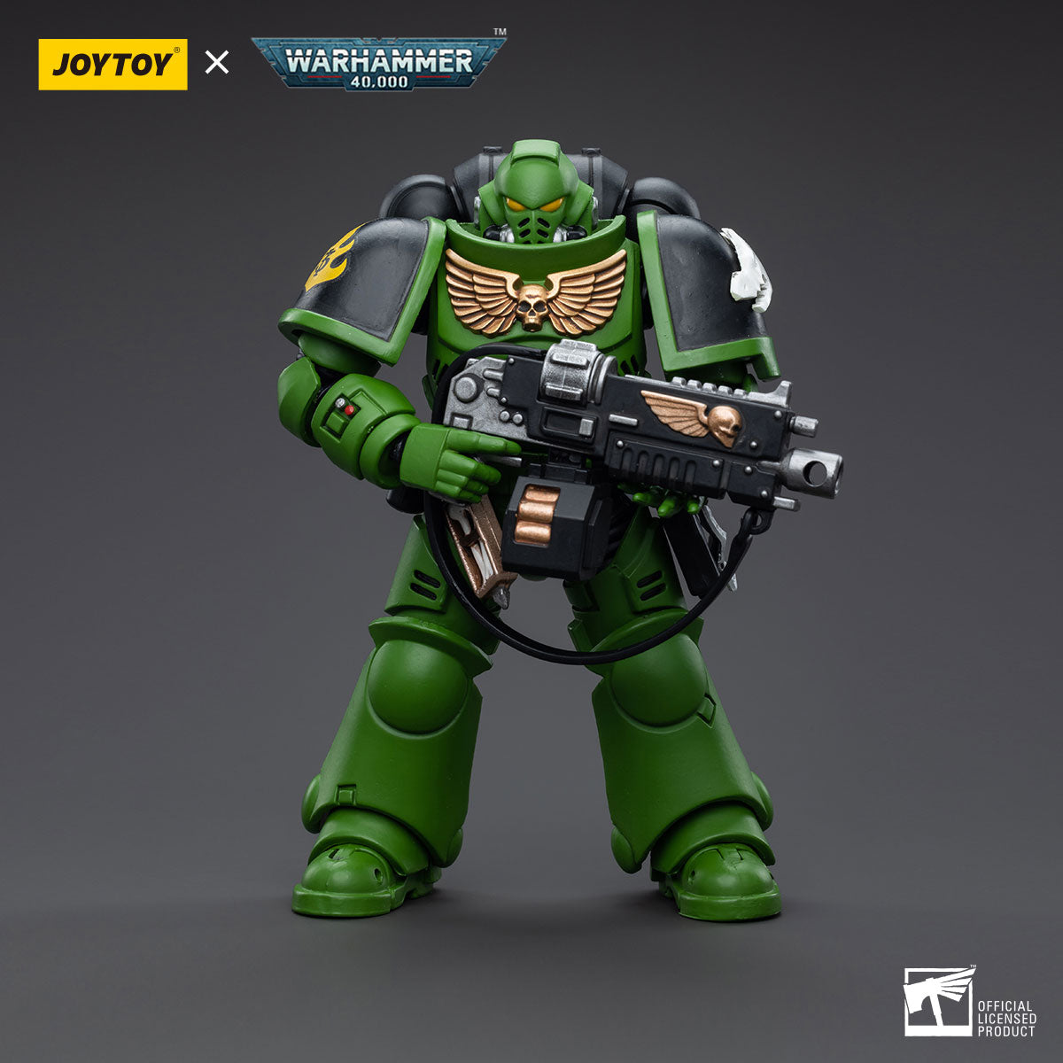 Salamanders Assault Intercessors