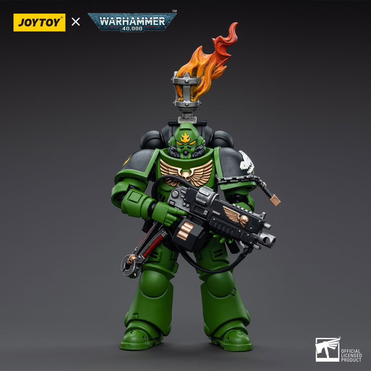 Salamanders Assault Intercessors