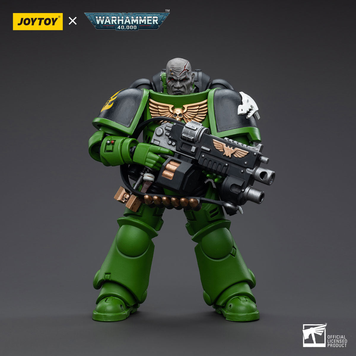Salamanders Assault Intercessors