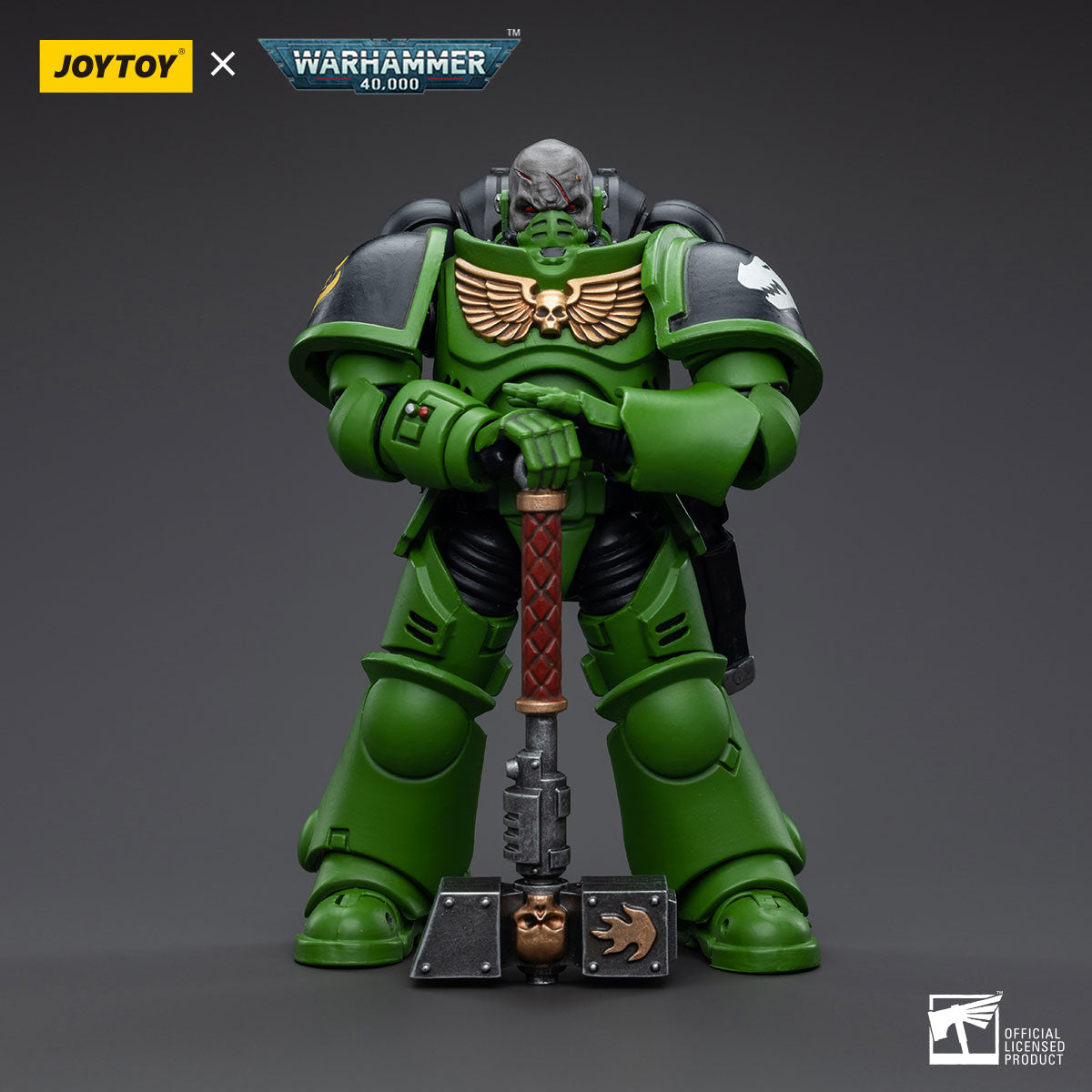 Salamanders Assault Intercessors