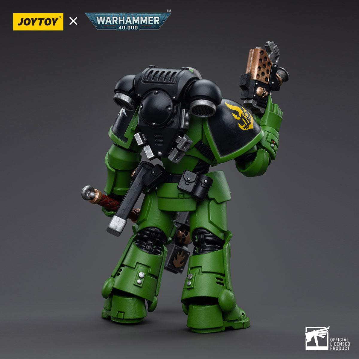 Salamanders Assault Intercessors