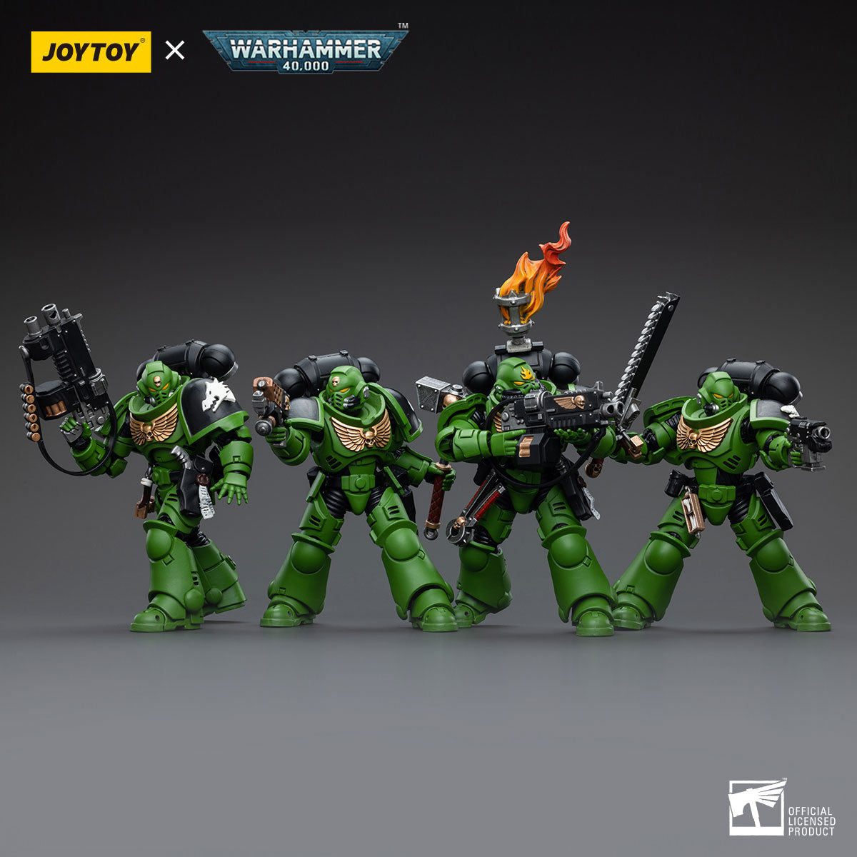 Salamanders Assault Intercessors