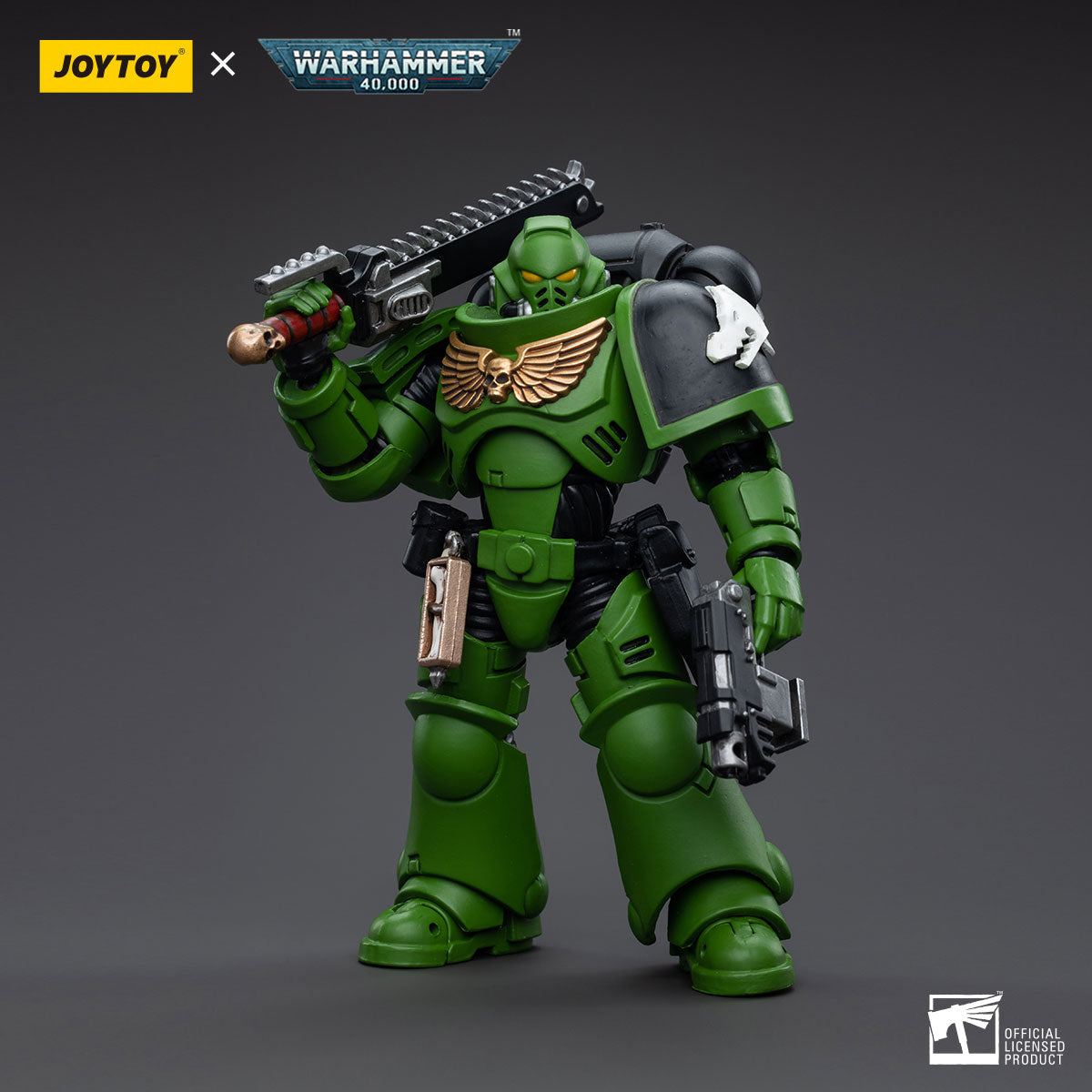 Salamanders Assault Intercessors