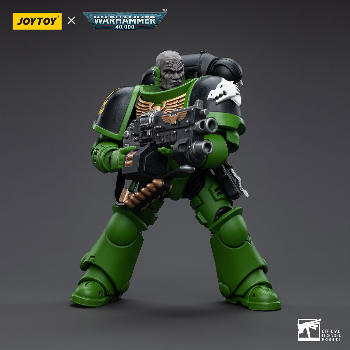 Salamanders Assault Intercessors
