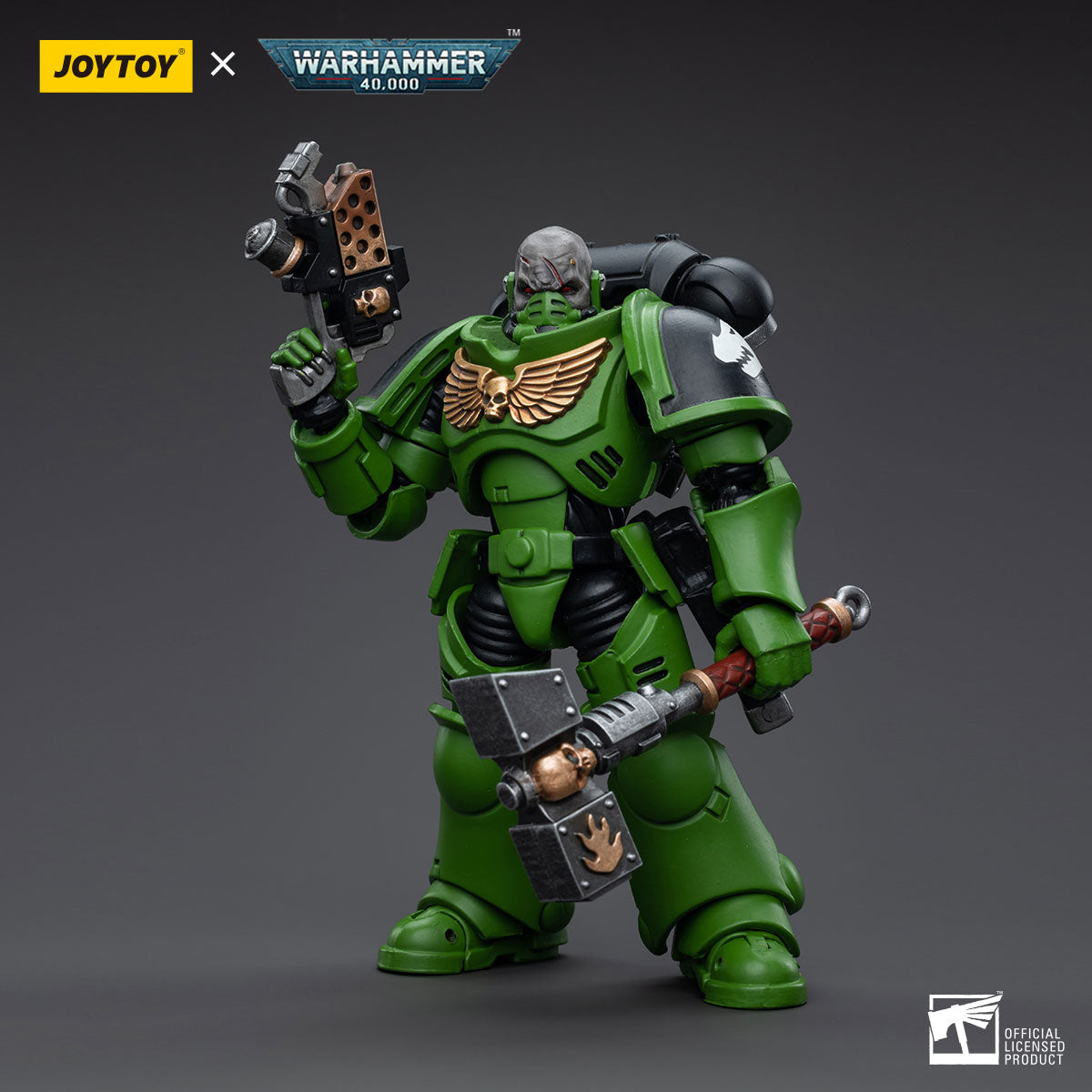 Salamanders Assault Intercessors