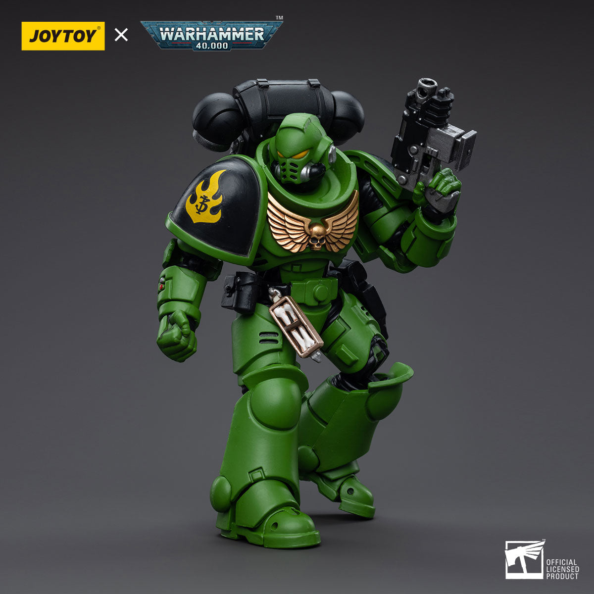 Salamanders Assault Intercessors