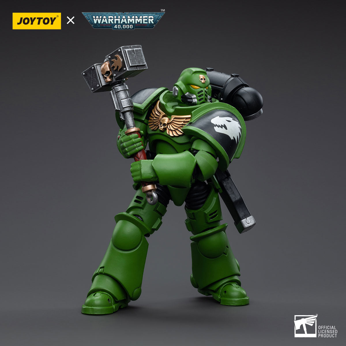 Salamanders Assault Intercessors
