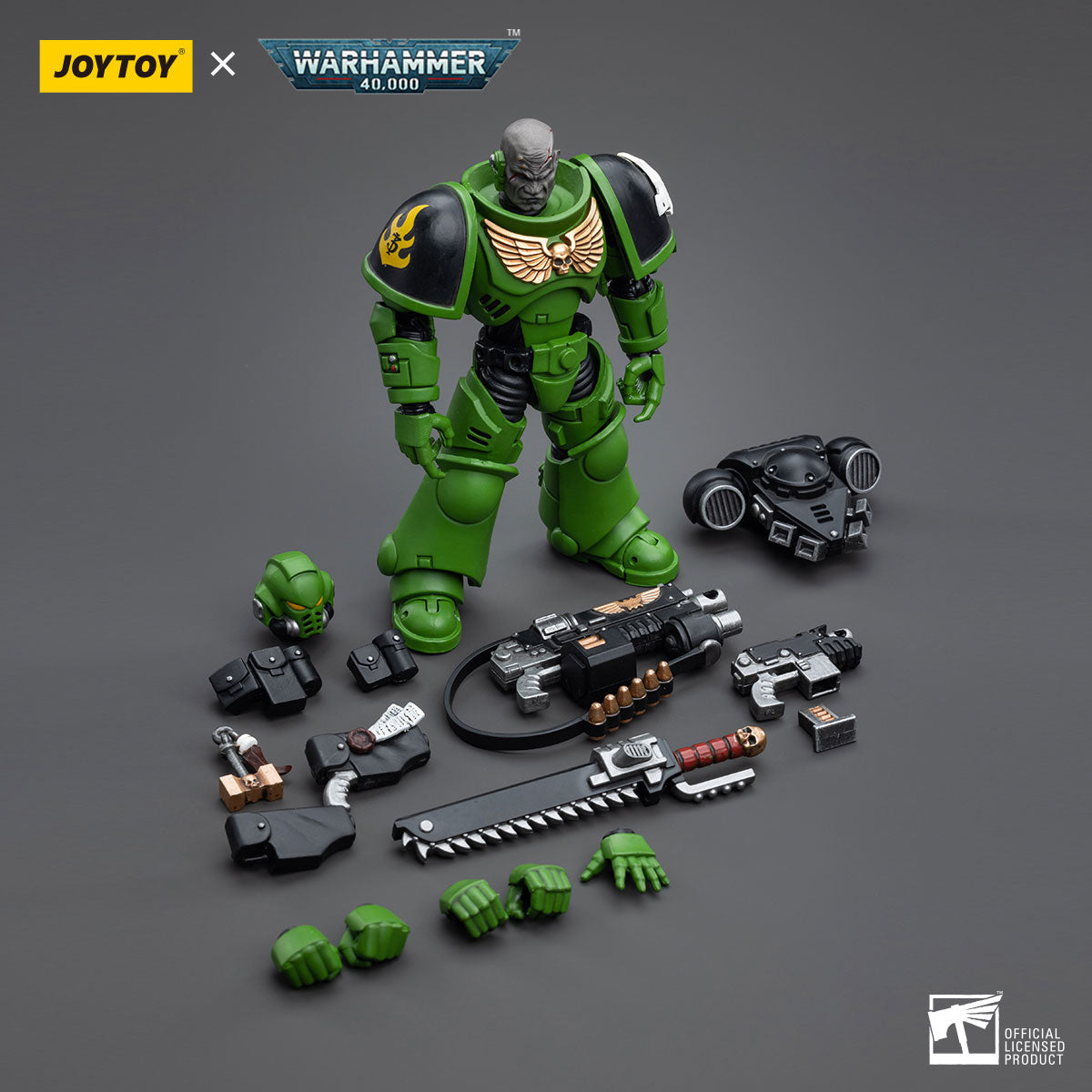Salamanders Assault Intercessors