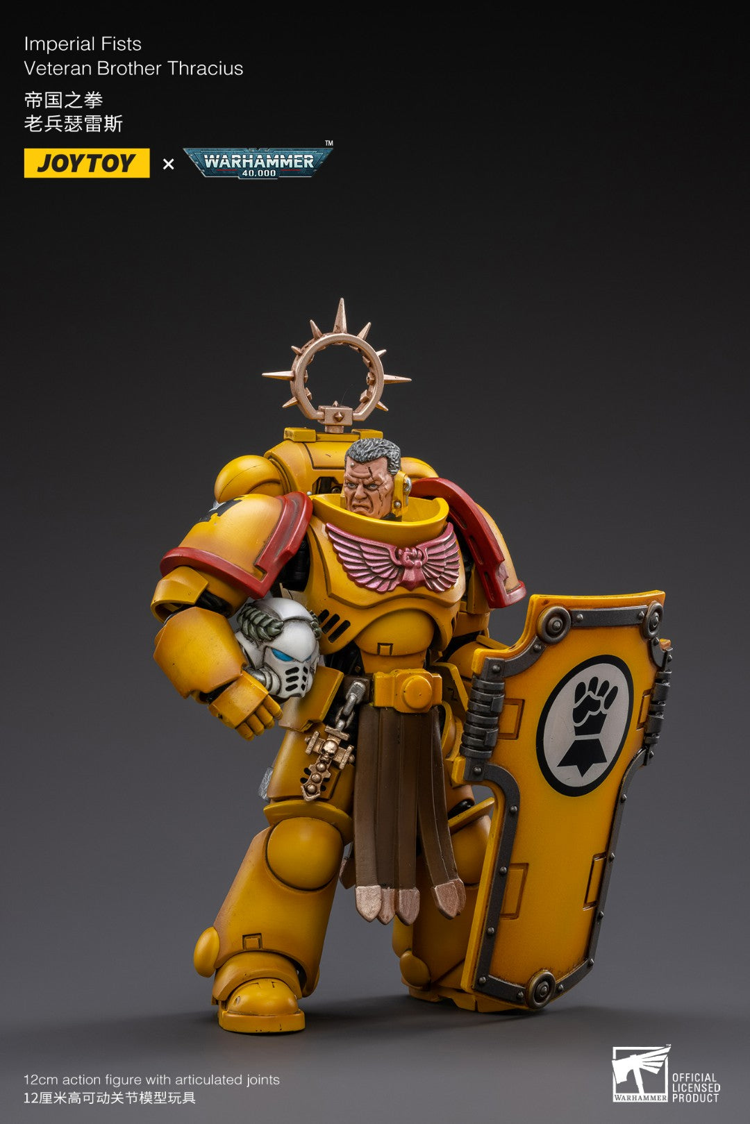 JOYTOY x WARHAMMER 40K Imperial Fists Veteran Brother Thracius