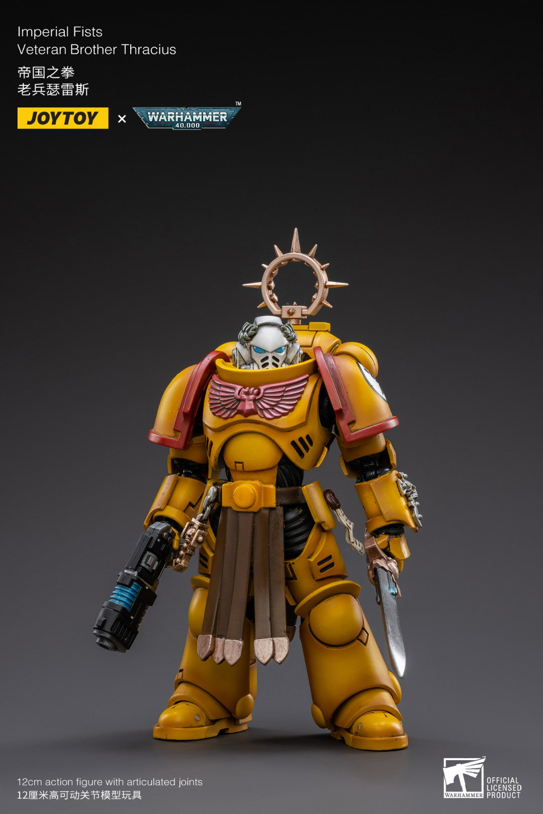 JOYTOY x WARHAMMER 40K Imperial Fists Veteran Brother Thracius