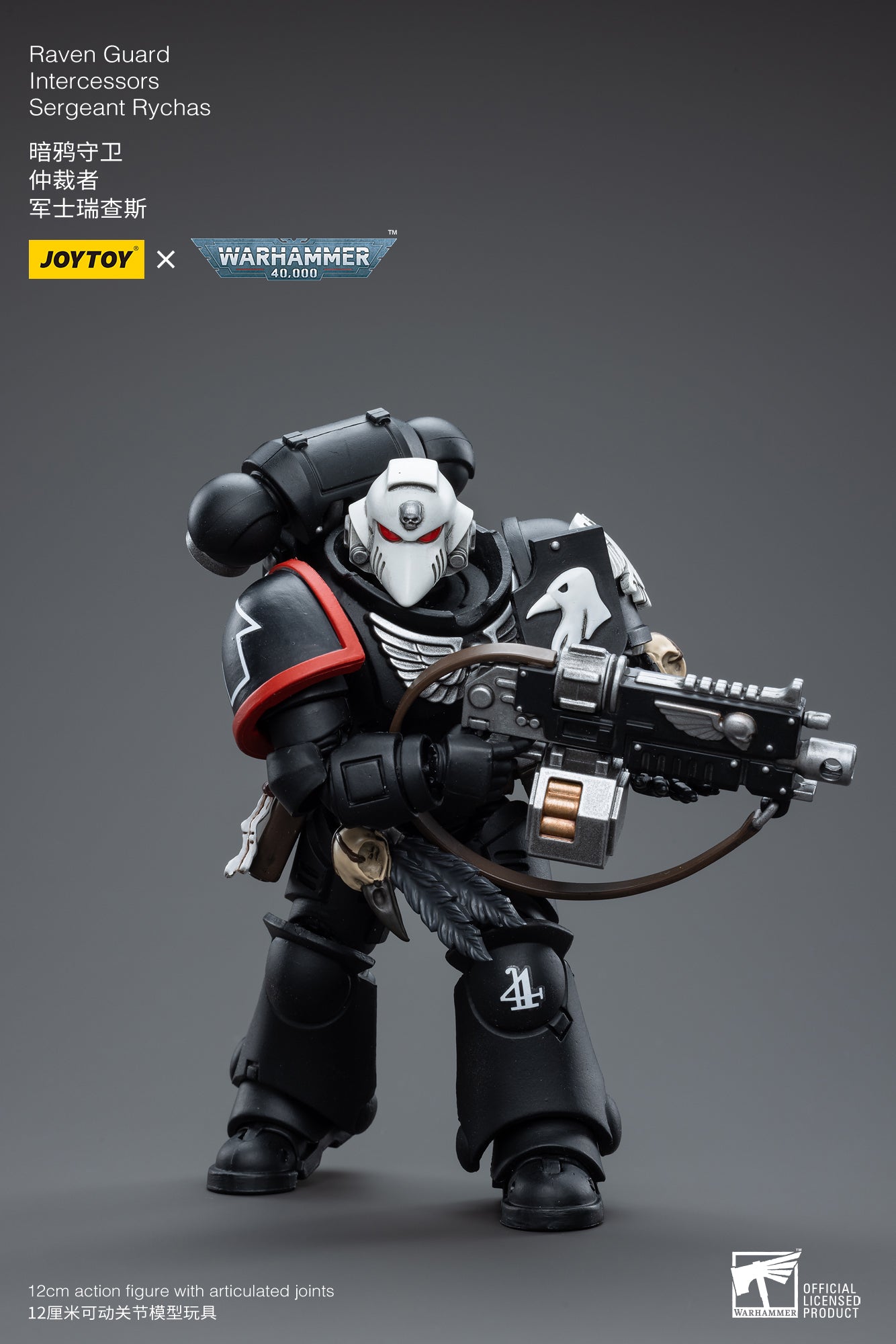 Raven Guard Intercessors