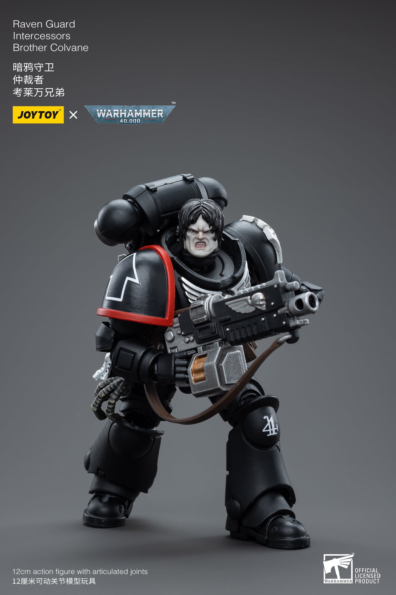 Raven Guard Intercessors