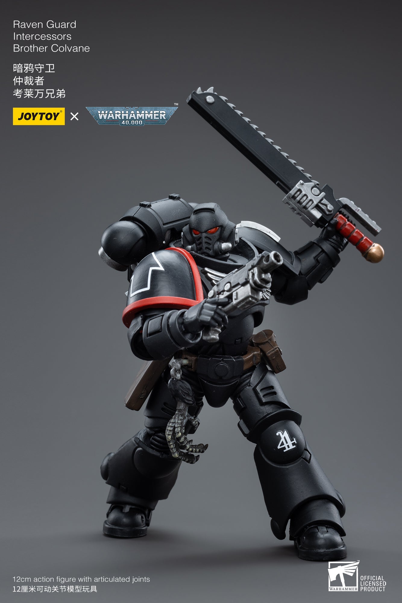 Raven Guard Intercessors