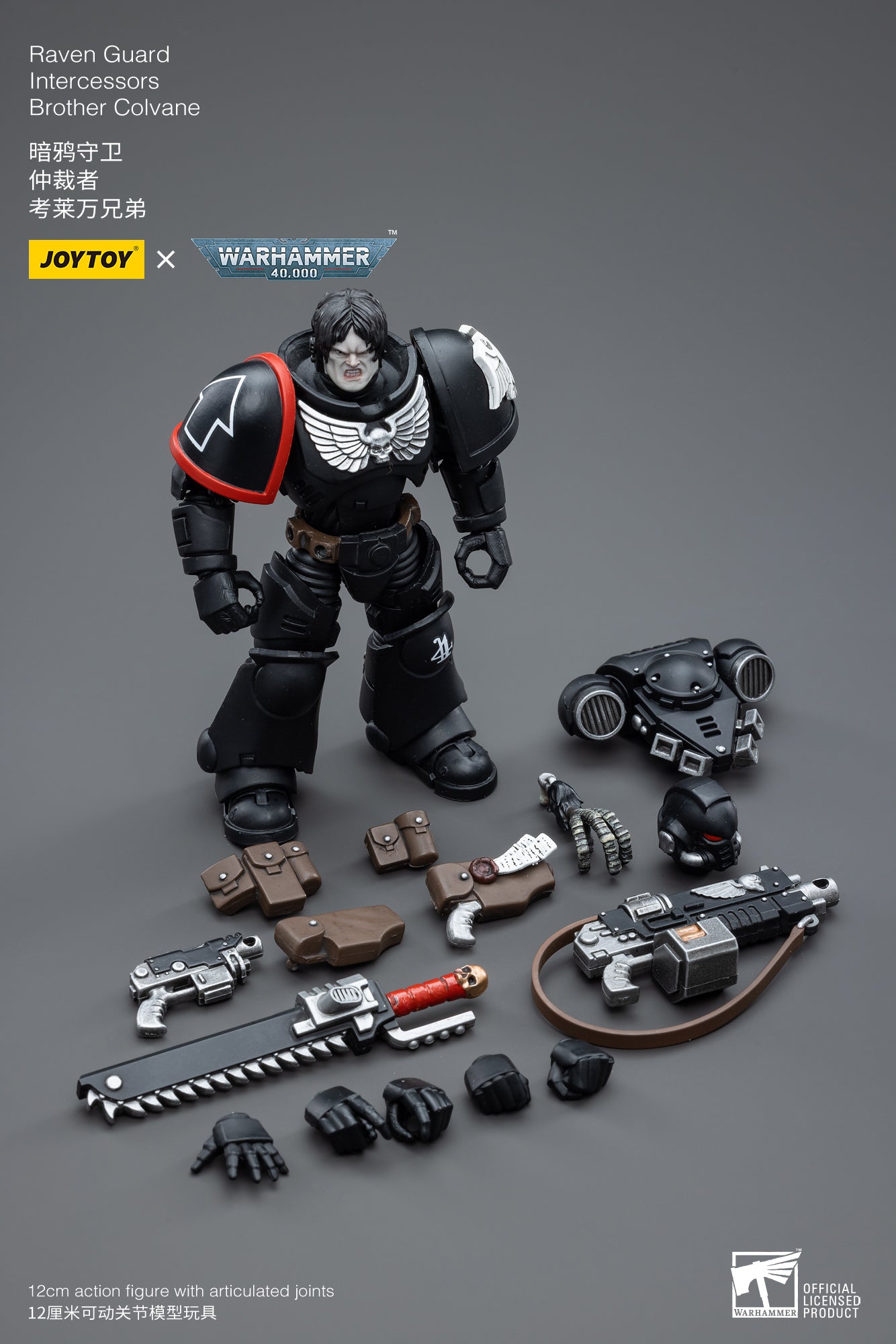 Raven Guard Intercessors