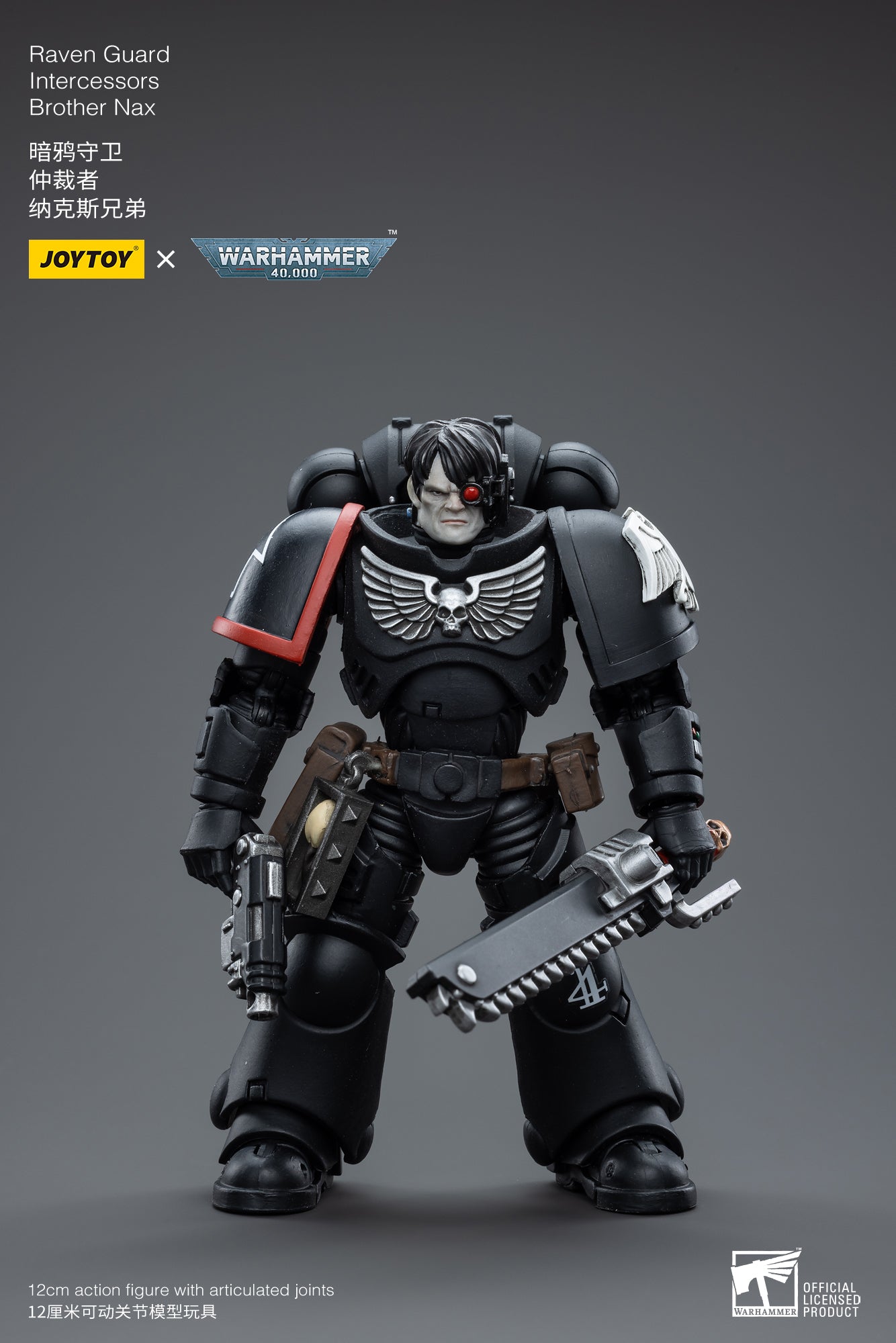 Raven Guard Intercessors