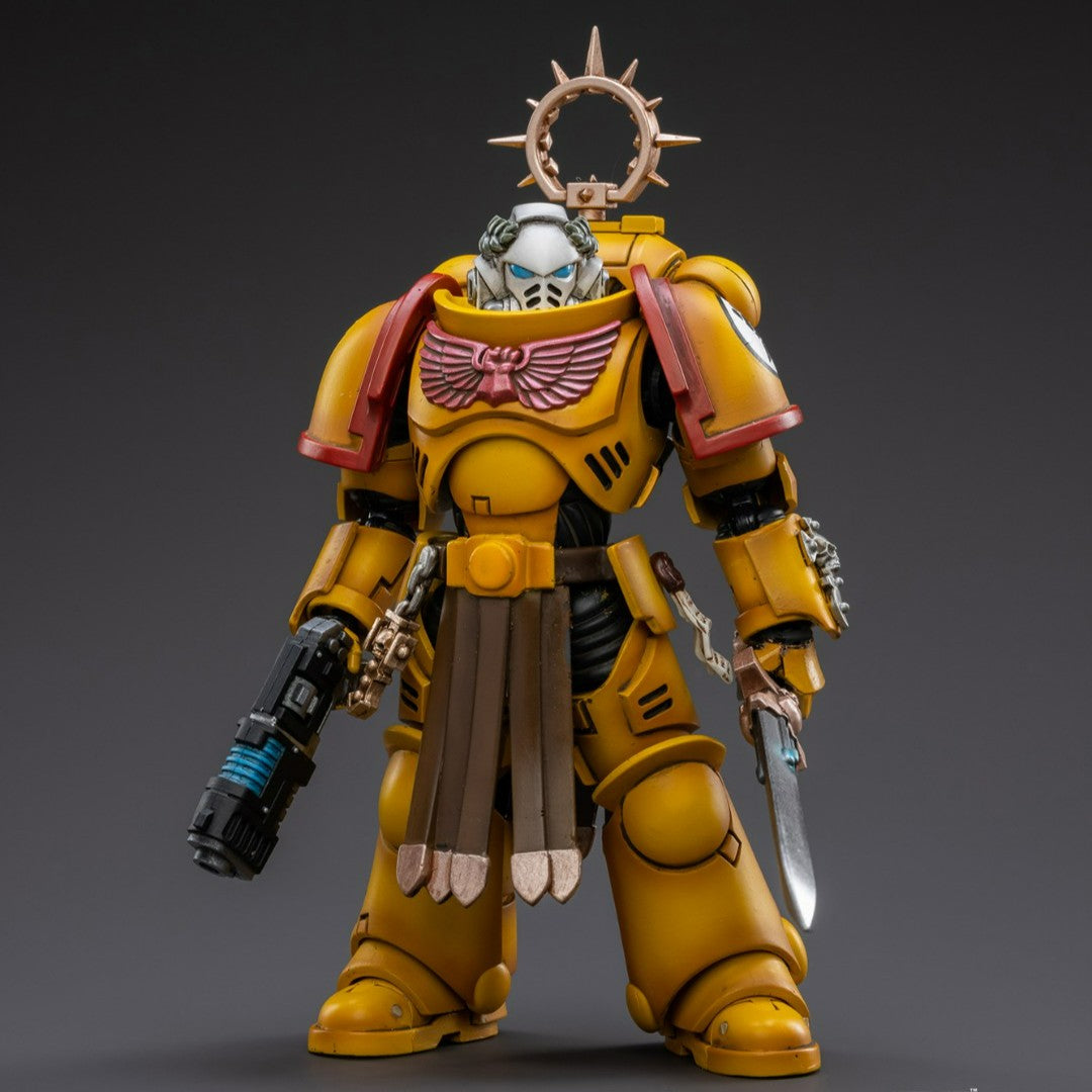 JOYTOY x WARHAMMER 40K Imperial Fists Veteran Brother Thracius